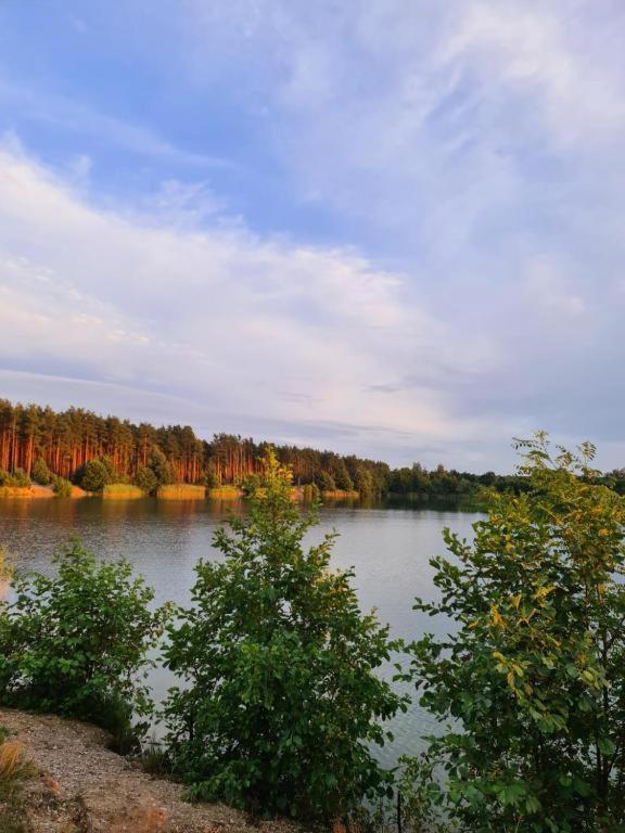 Agroturystyka U Siwego Rokitki  Kültér fotó
