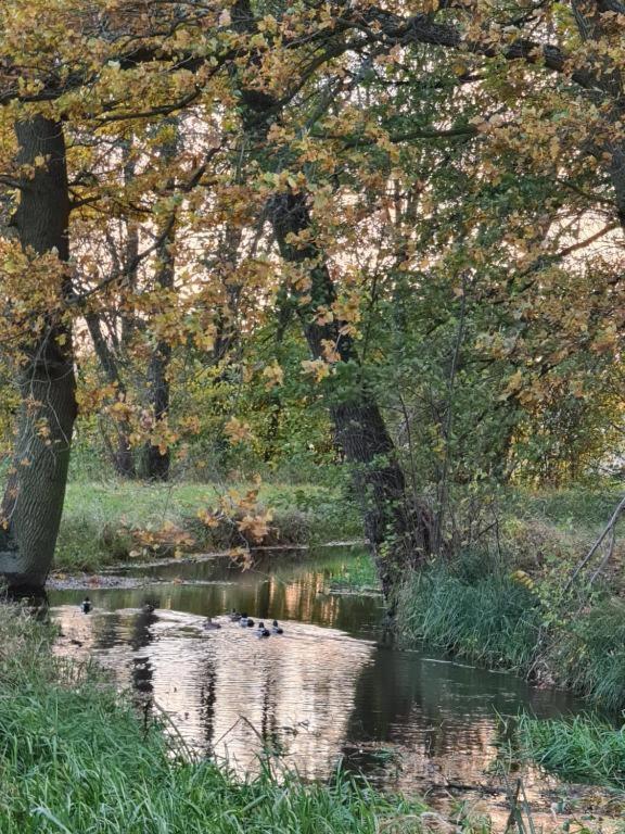 Agroturystyka U Siwego Rokitki  Kültér fotó